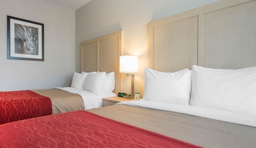 Standard Room, 2 Queen Beds, Non Smoking (No Pets)