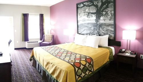 Suite, 1 King Bed