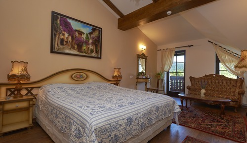 Executive Room, Balcony