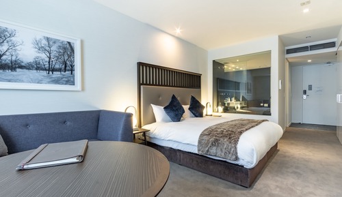 Superior Hotel Room (Lower Ground)