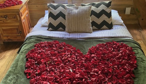 Romantic Cabin, 1 King Bed with Sofa bed, Refrigerator, Mountain View