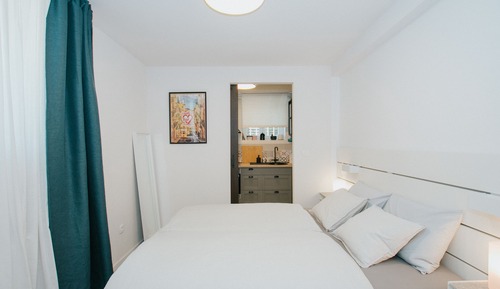 Basic Apartment