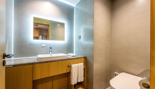 Suite, 1 King Bed (Living Area)