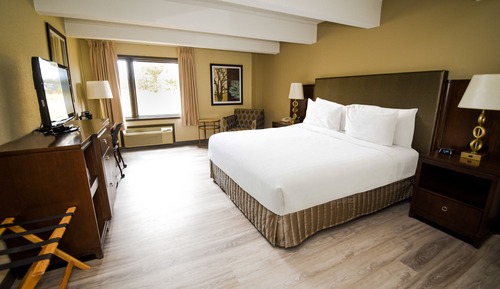 Standard Room, 1 King Bed