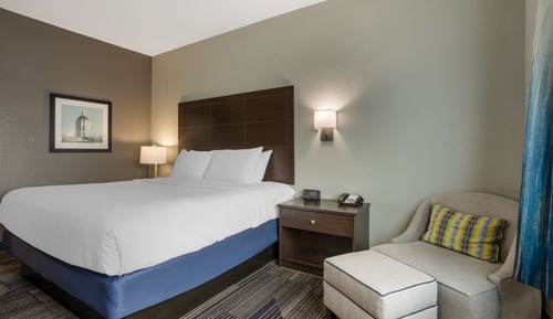 Standard Room, 1 King Bed, Non Smoking, Refrigerator & Microwave
