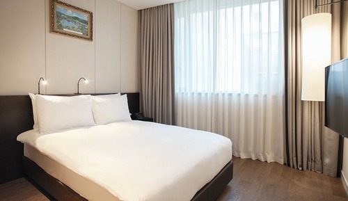 Standard Double Room (Accessible - Lower Level)