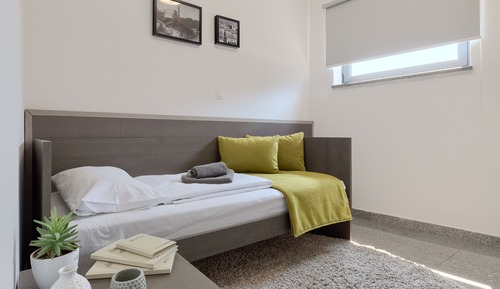 Single Room, 1 Twin Bed
