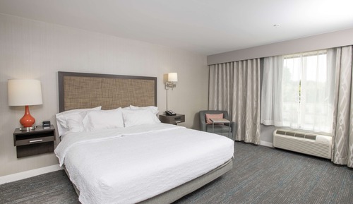Room, 1 King Bed, Accessible, Non Smoking (Hearing Impaired)