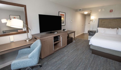 Room, 1 King Bed, Accessible, Non Smoking