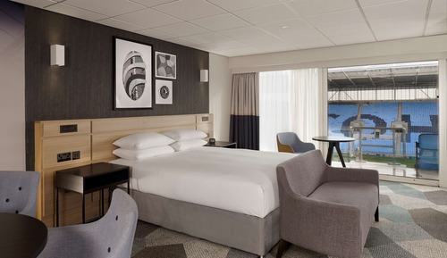 Room, 1 King Bed (Pitch View)