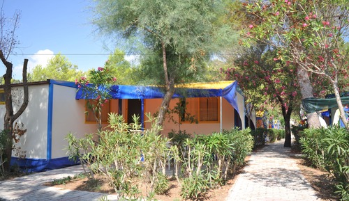 Mobile Home