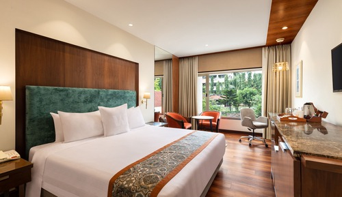 Deluxe Room, 1 King Bed (Deluxe Room Double)