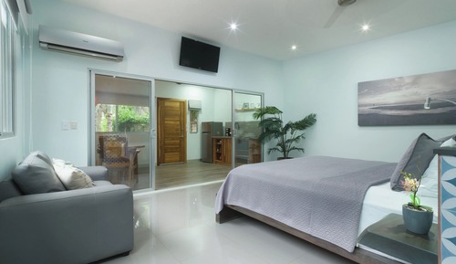 Grand Apartment, 1 King Bed