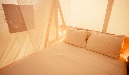 Safari Tent