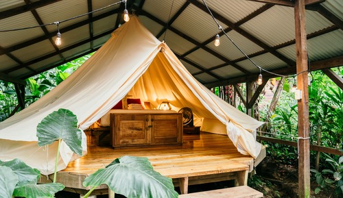 Rainforest Tent- Queen