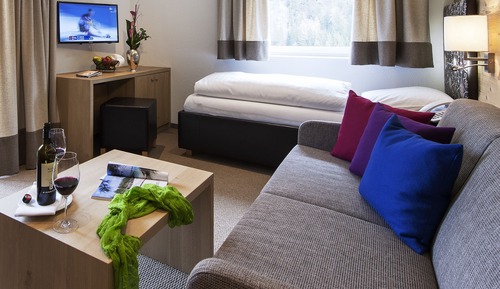 Deluxe Apartment, Balcony, Mountain View