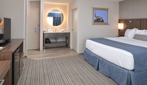 Room, 1 King Bed