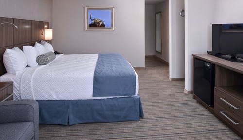 Room, 1 King Bed with Sofa bed, Accessible