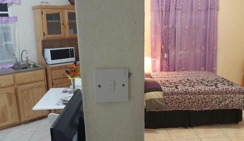 Apartment, 1 Bedroom, Kitchenette