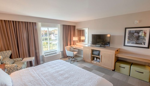 Room, 1 King Bed (Roll-in Shower)