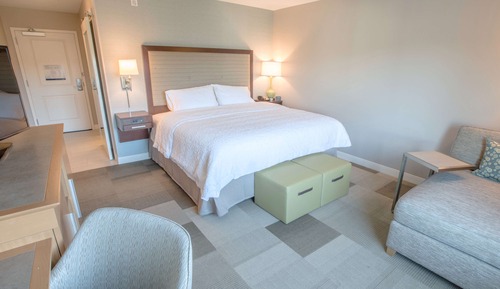 Room, 1 King Bed