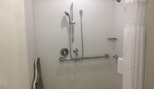 Room, 1 King Bed, Accessible, Non Smoking (Roll In Shower)