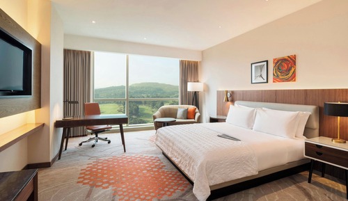Guest Room,1 King Bed