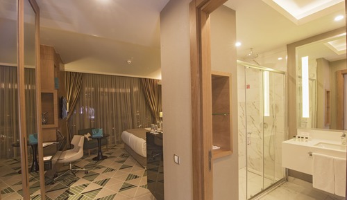 Room, 1 King Bed, Non Smoking