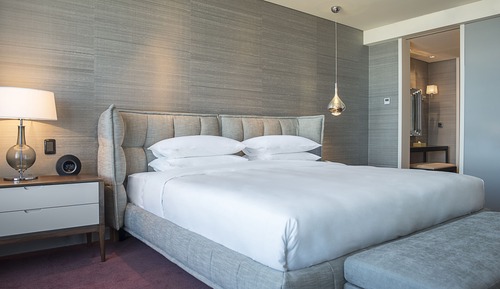 Room, 1 King Bed