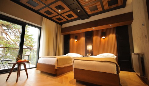 Standard Deluxe Room, Balcony