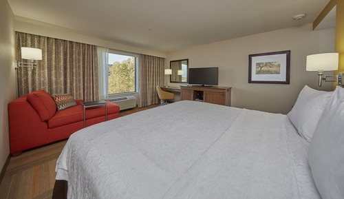 Room, 1 King Bed, Accessible, Non Smoking