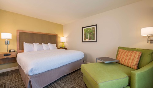 Room, 1 King Bed, Accessible, Non Smoking