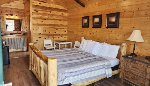 Cabin, 1 King Bed