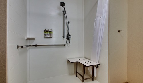 Standard Room, 1 King Bed, Accessible (Mobility, Roll-In Shower)