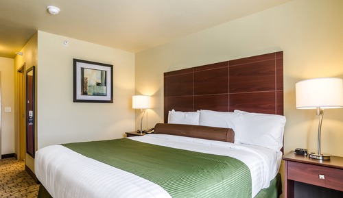 Room, 1 King Bed, Non Smoking