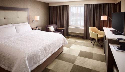 Room, 1 King Bed, Non Smoking (Roll In Shower)