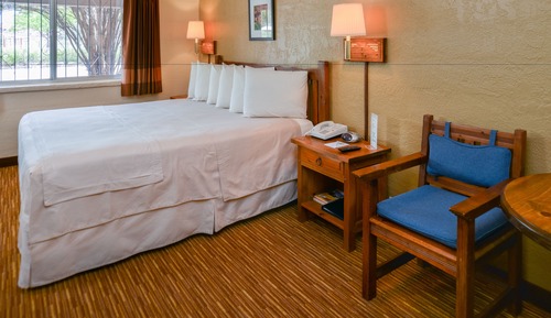 Room, 1 King Bed