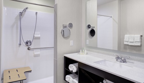 Suite, 1 King Bed, Accessible (Roll-In Shower)