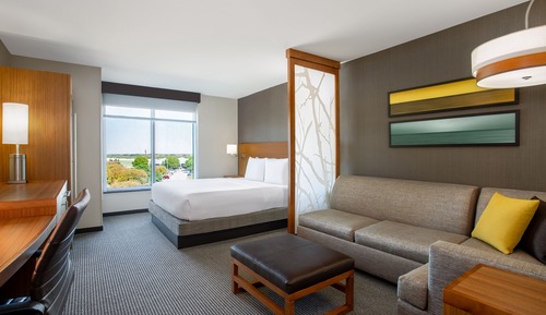 Room, 1 King Bed with Sofa bed (High Floor Room)