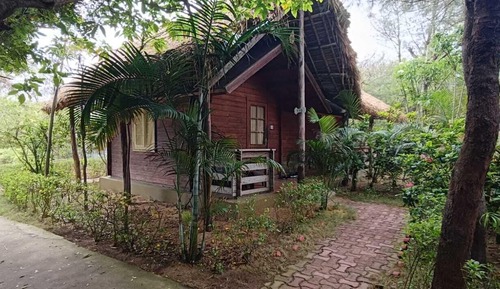Premium Forest Villa