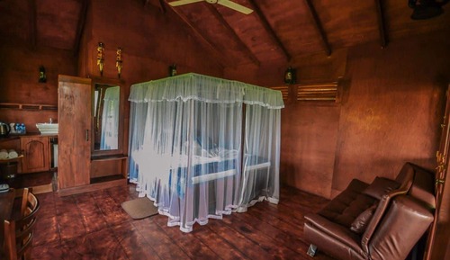 Canopy Treehouse
