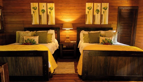 Deluxe Tree House