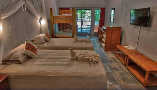Family Double or Twin Room