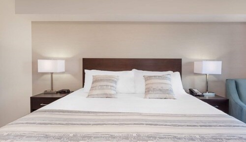Room, 1 King Bed, Non Smoking