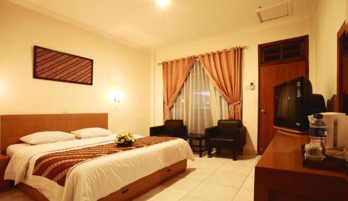 Deluxe Double or Twin Room