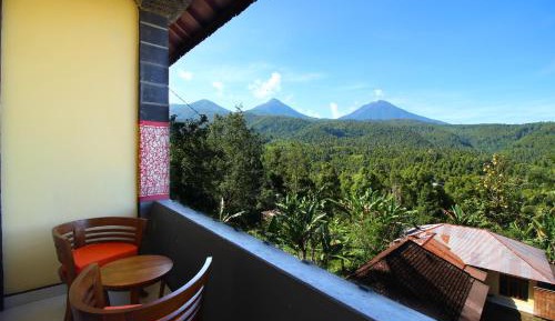 Double Room with Mountain View
