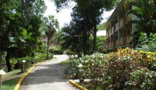 Apartment with Garden View