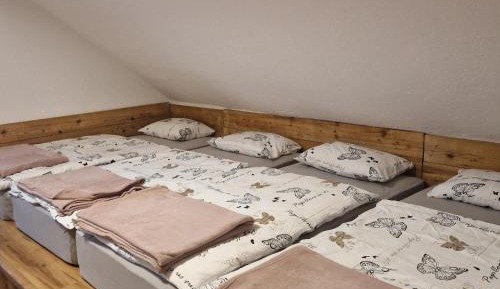 Single Bed in Mixed Dormitory Room