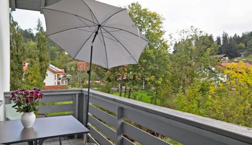Superior One-Bedroom Apartment with Balcony
