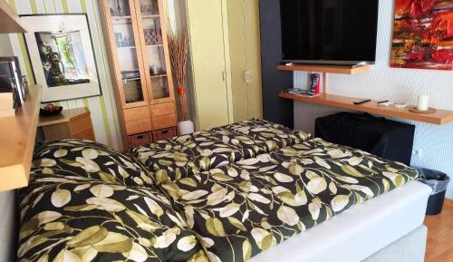 Superior One-Bedroom Apartment